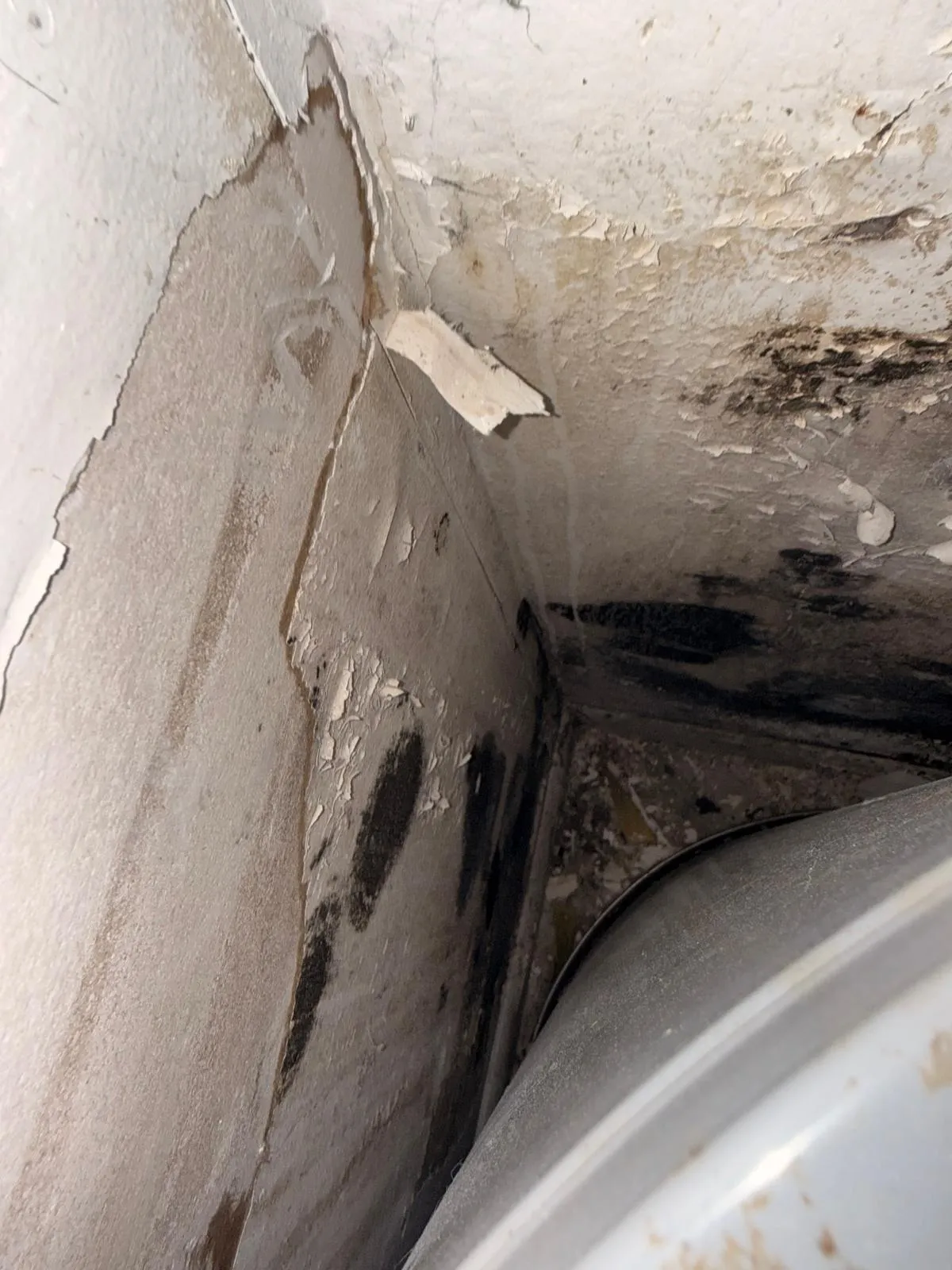 Mold deterioration on drywall examined in Jupiter, FL