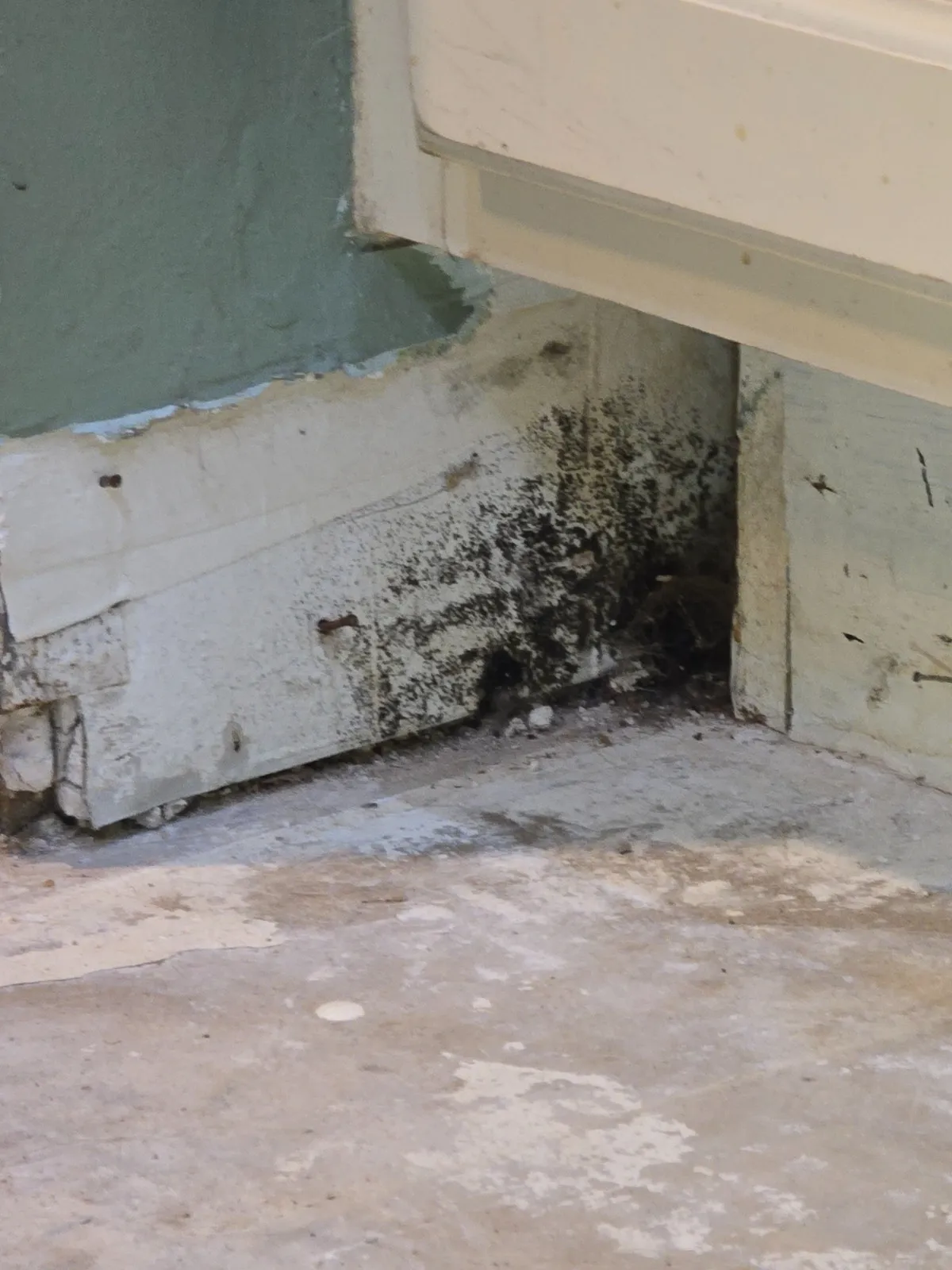Moisture damage under kitchen flooring in Jupiter, FL